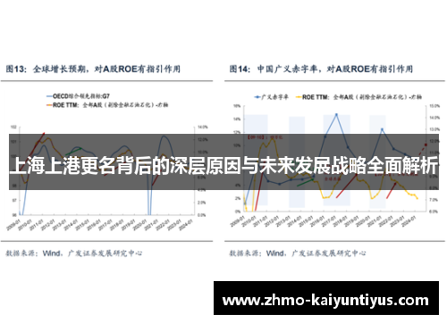上海上港更名背后的深层原因与未来发展战略全面解析