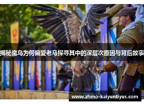 揭秘魔鸟为何偏爱老马探寻其中的深层次原因与背后故事