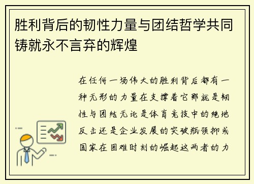 胜利背后的韧性力量与团结哲学共同铸就永不言弃的辉煌