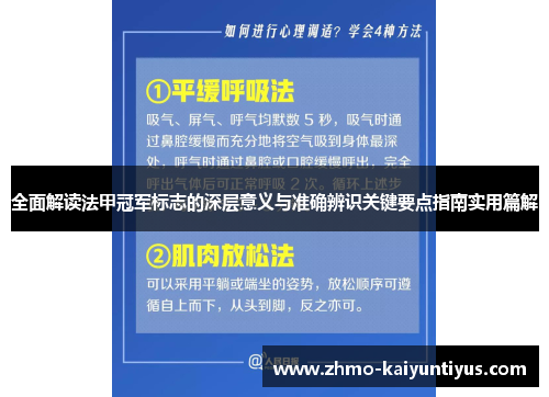 全面解读法甲冠军标志的深层意义与准确辨识关键要点指南实用篇解 全面解读法甲冠军标志的深层意义与准确辨识关键要点指南实用篇解