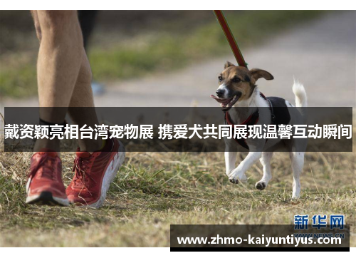 戴资颖亮相台湾宠物展 携爱犬共同展现温馨互动瞬间