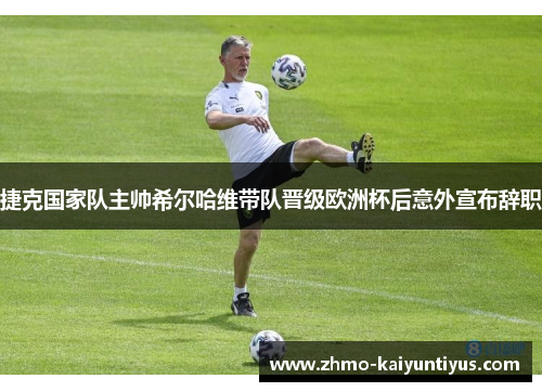 捷克国家队主帅希尔哈维带队晋级欧洲杯后意外宣布辞职 捷克国家队主帅希尔哈维带队晋级欧洲杯后意外宣布辞职