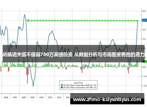 胡桑诺夫值不值得700万英镑投资 从数据分析与市场前景看他的潜力