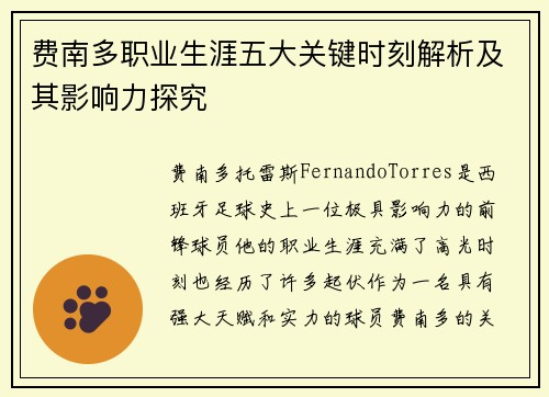 费南多职业生涯五大关键时刻解析及其影响力探究