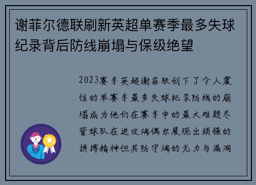 谢菲尔德联刷新英超单赛季最多失球纪录背后防线崩塌与保级绝望